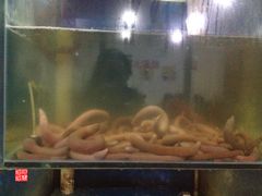 IMG_3113-胶东海鲜大排档(北太平庄店)