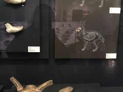 -北京周口店北京人遗址博物馆