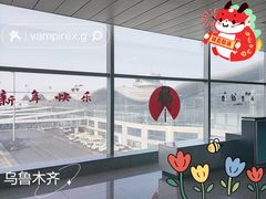 -乌鲁木齐天山国际机场-T3航站楼