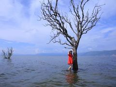 -才村湿地公园