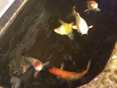 -郭家大院(新源店)
