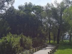 -长春市南湖公园