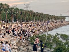 -宝安西湾红树林湿地公园