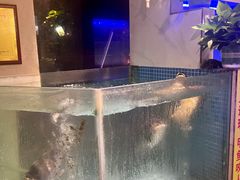 -王捌小院(红花坡店)