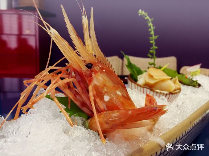 万岛日本料理铁板烧(吴中店)白牡丹虾图片