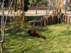 -泉州海丝野生动物世界