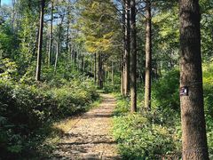 -午潮山国家森林公园