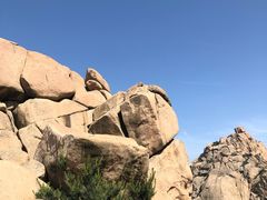 -崂山仰口游览区