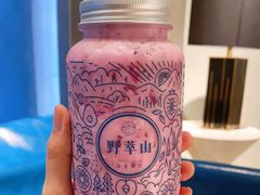 -野萃山·潮汕厚果汁(十亩地店)