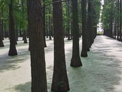 -渌洋湖湿地公园
