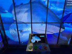 -迪拜水族馆及水下动物园