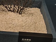 -中国湿地博物馆