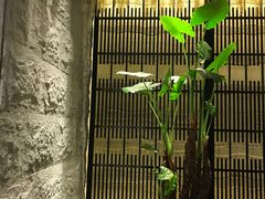 -水月·和牛工坊(水晶郦城店)