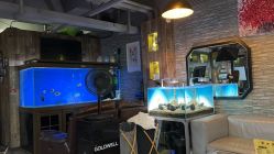 -青木造型HAIR·あおき髪を刈る潮人店