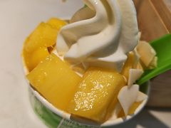 -Salud撒露欧洲冻酸奶(五道口购物中心店)
