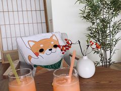 -柴犬小屋·柴餐厅·狗咖食堂(金鼎广场店)