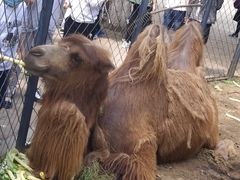 -长白岛森林公园