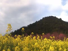 -贵阳市花溪国家城市湿地公园