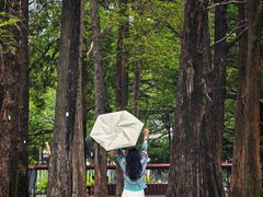 -四海公园(南山区)