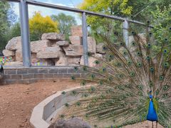 -石家庄市动物园