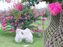 -江苏三台山国家森林公园