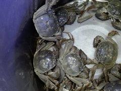 -祥鹤龙虾螃蟹