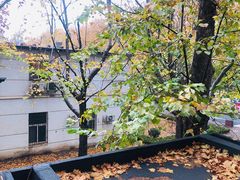 -大连理工大学(凌水校区)
