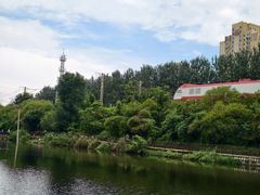 -前关湿地公园