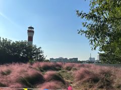-上海山野camping·户外天幕烧烤·团建拓展营地