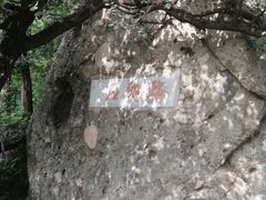 -阳台山自然风景区