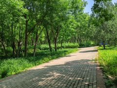 -东郊湿地公园