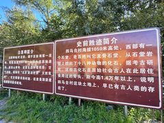 -白草畔自然风景区