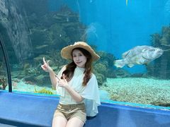 -福州罗源湾海洋世界旅游区