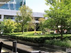 绿色丛生-北京希尔顿逸林酒店