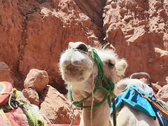 -天山神秘大峡谷