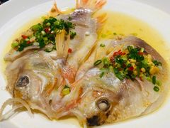 清蒸野生黄鱼-南湖春色海鲜食府(中兴街店)