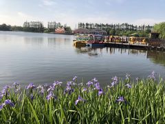 -上海长兴岛郊野公园