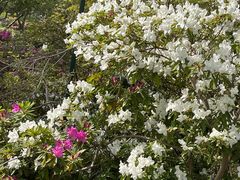 -玄武湖景区-情侣园游乐场