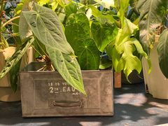 -自由生长植物工作室(深港花卉中心店)