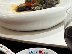 -SKY88观海庭