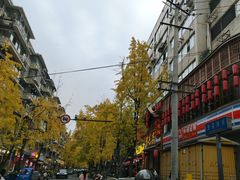 -奎星楼街