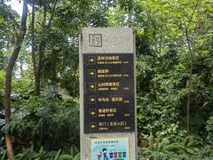 -南岗山公园