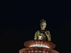 -海合安苏州阳澄半岛乐园