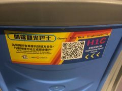 -Big Bus Tours 敞篷观光巴士