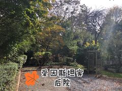 -普林斯顿大学