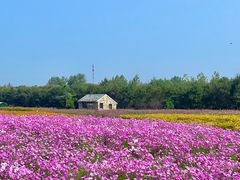 -江苏三台山国家森林公园