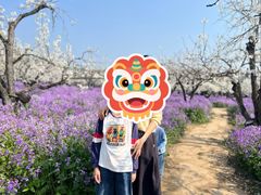 -江苏三台山国家森林公园