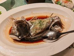 -北京老铺烤鸭(高新店)