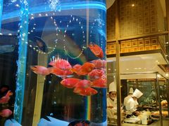 -悦百味·品质川菜(橄榄郡店)