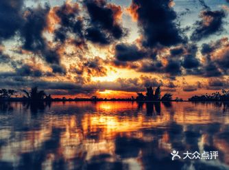 19年的11月距离结婚纪念日还有几天的时候我们临时决